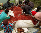 Rwanda Kamajumba formalet filter 2kg